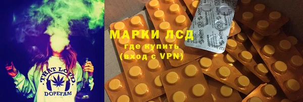 индика Алексеевка
