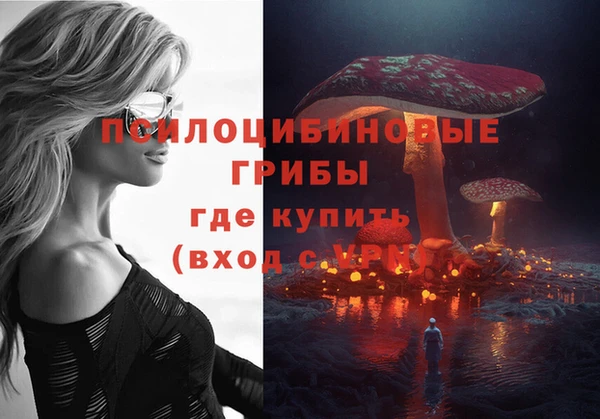 индика Алексеевка