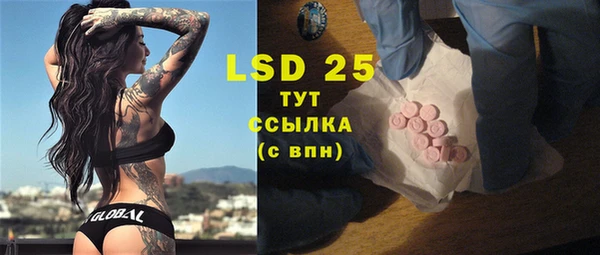 индика Алексеевка