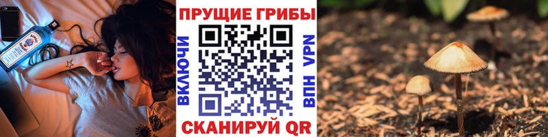 Галлюциногенные грибы мухоморы Набережные Челны